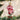 Old World Christmas Strawberry Shortcake & Custard Christmas Ornament