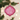 Old World Christmas My Mahjong Friends Christmas Ornament