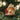 Old World Christmas Basset Hound Christmas Ornament