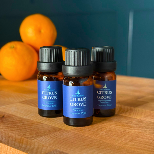 Traditions of Scent Citrus Grove Premium Fragrance Diffuser Oil Refills by Tinsel Traditions - Set of 3