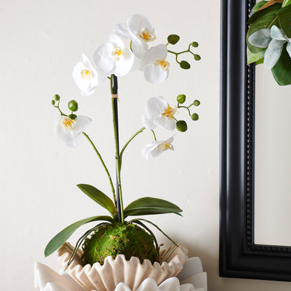 RAZ Imports 23.75" Real Touch White Orchid Flower with Moss Ball