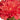 Real Touch Crimson Red Dahlia Bloom #color_crimson-red
