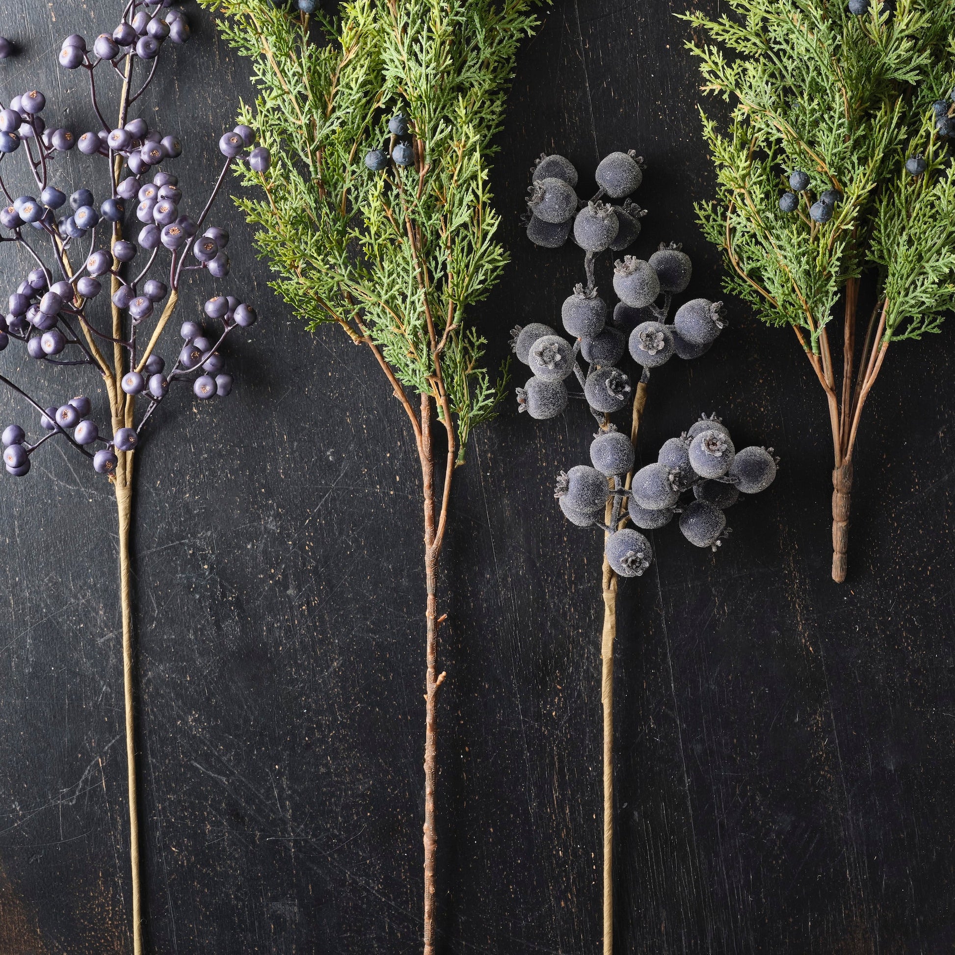 Decorative elements with green branches and purple berries on a dark surface