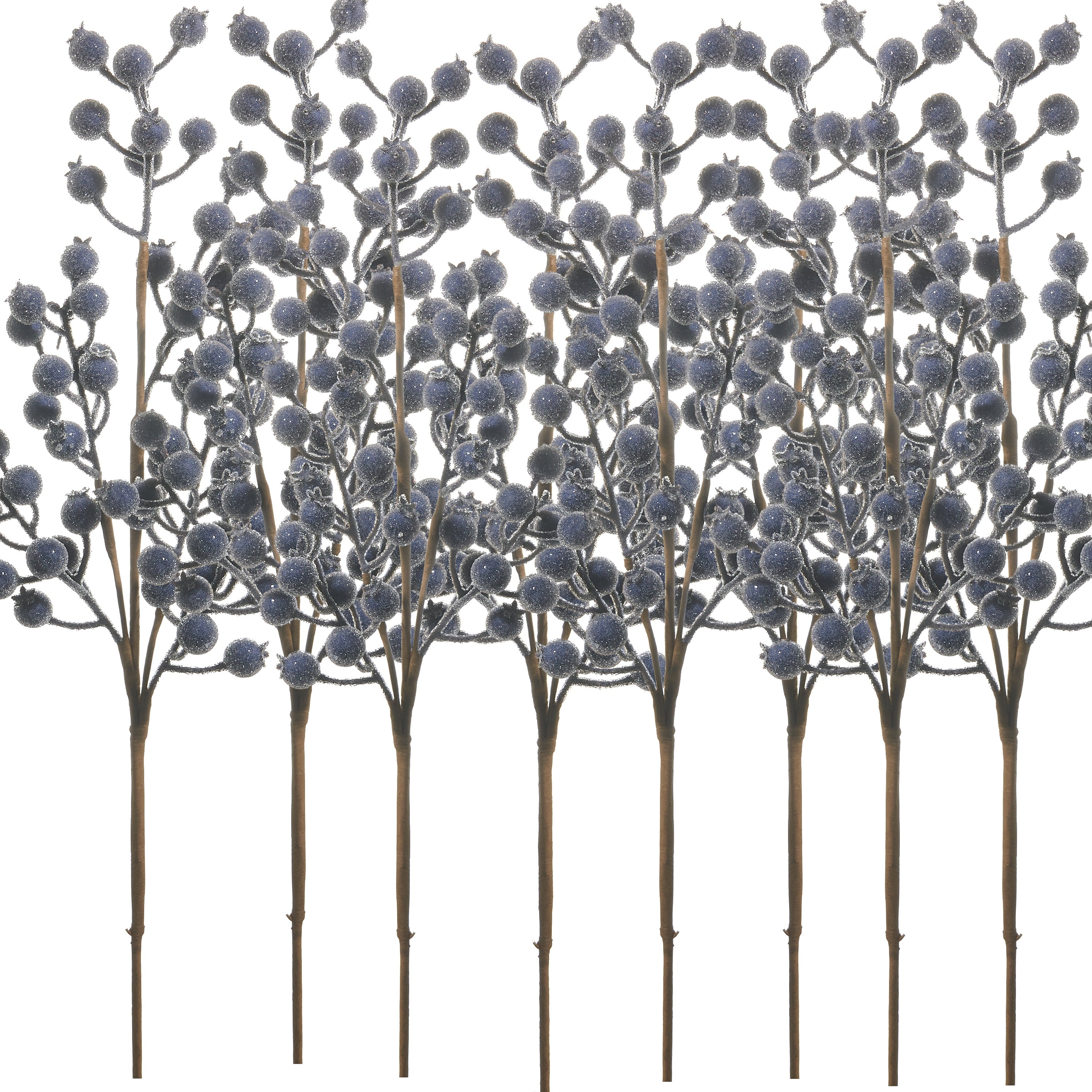 Set of decorative branches with blue berries on a white background