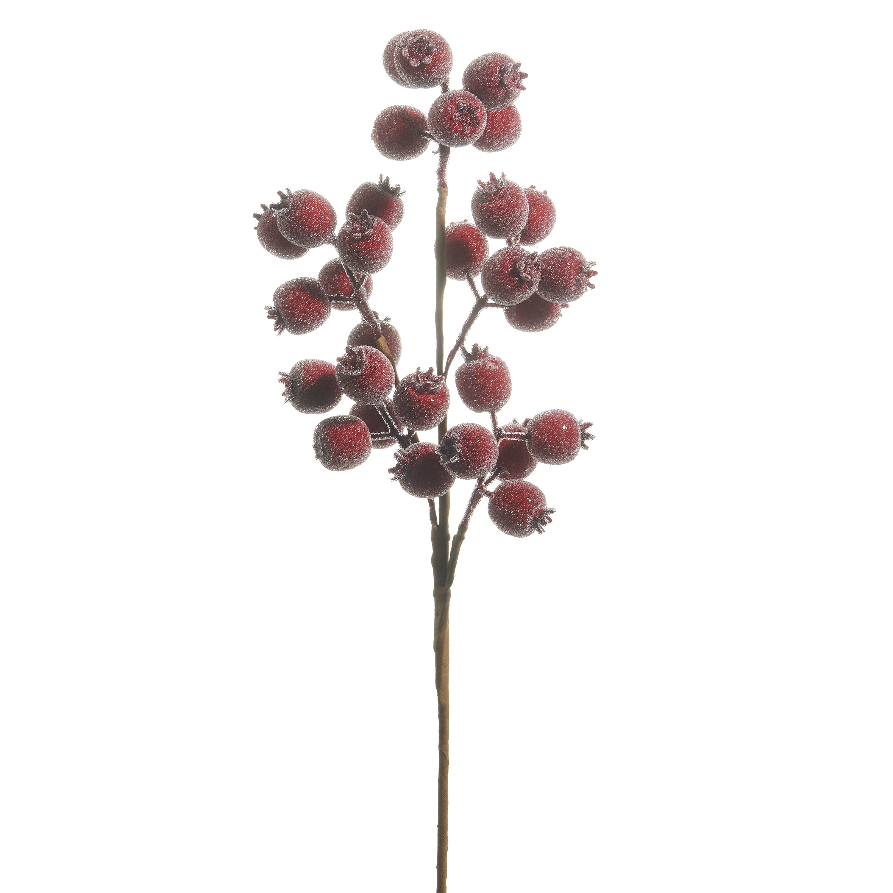 RAZ Imports 21" Iced Burgundy Red Berry Pod Decorative Christmas Tree Spray