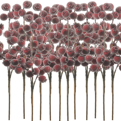 Frosted red berries on a white background