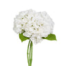 #color_white