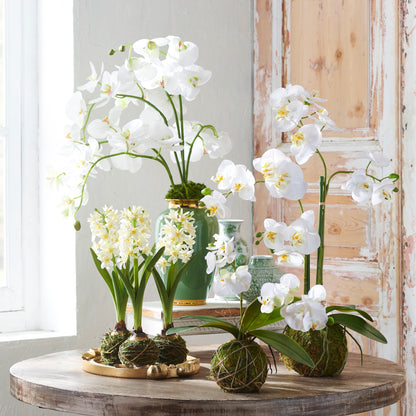 White orchids in decorative pots on a wooden table with a light background