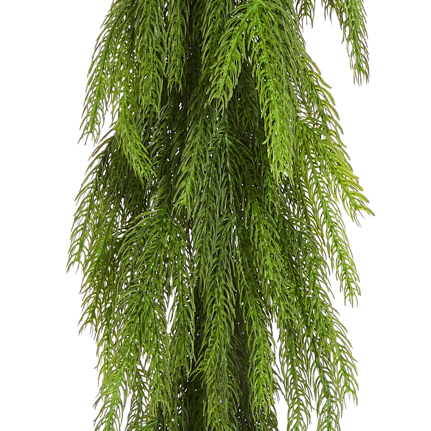 RAZ Imports 6' Norfolk Pine Christmas Garland Realistic Artificial Greenery