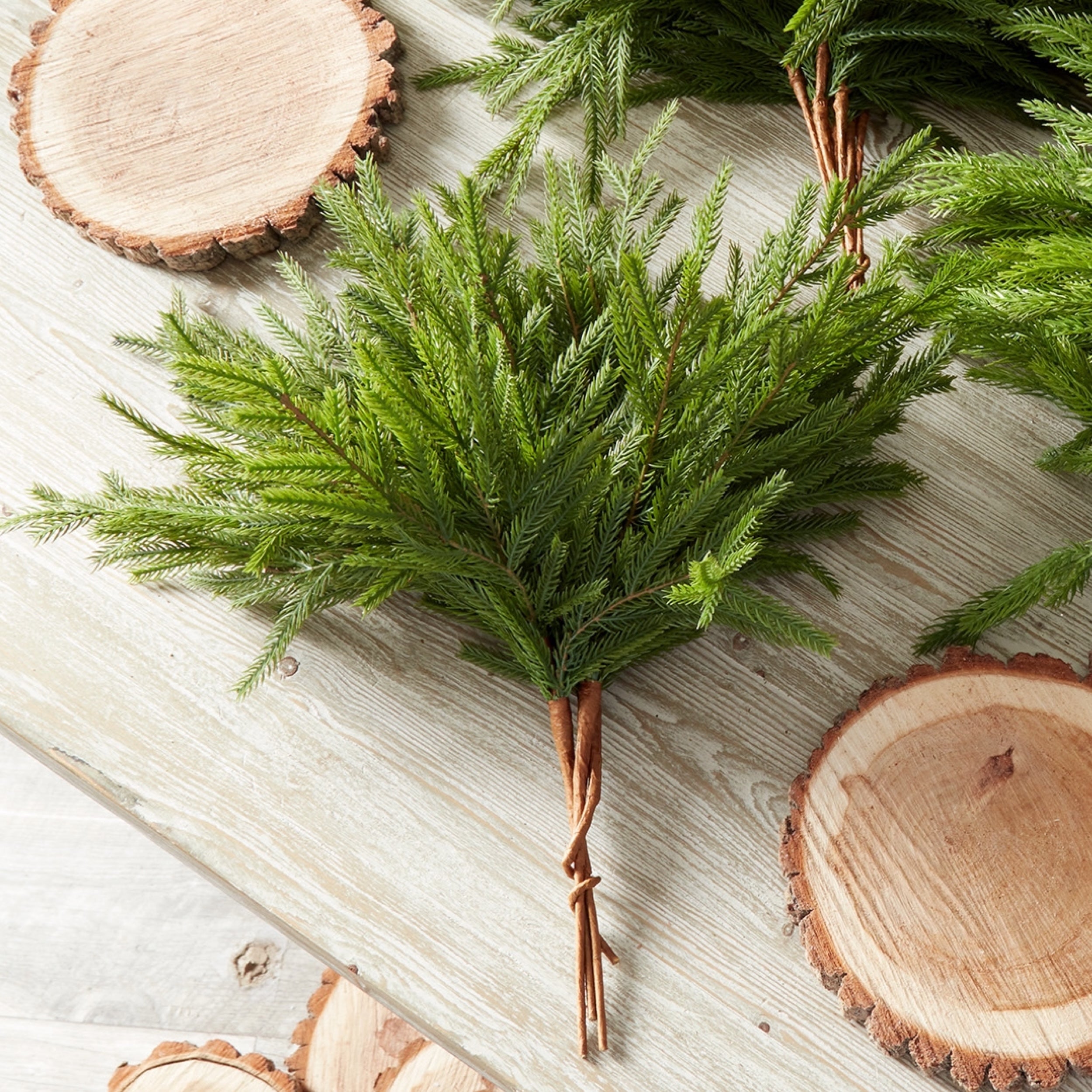 K&K Interiors 19" Real Touch Norfolk Pine Christmas Decoration Stem Tree Pick