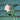 Porch View Home 23" Dutchess Light Pink Rose Stems - Set of 12