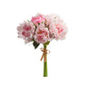 #color_blush-pink