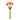 #color_coral-orange