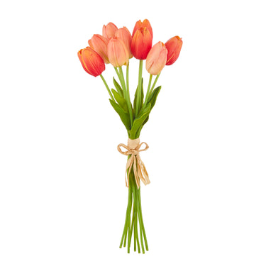 #color_coral-orange