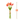#color_coral-orange