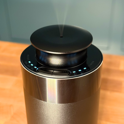 Traditions of Scent Premium Fragrance Oil Scent Diffuser by Tinsel Traditions