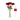 Bouquet of red roses with a height indicator on a white background