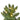 #lights_led-warm-white-mini-lights