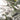 #lights_led-warm-warm-white-mini-lights
