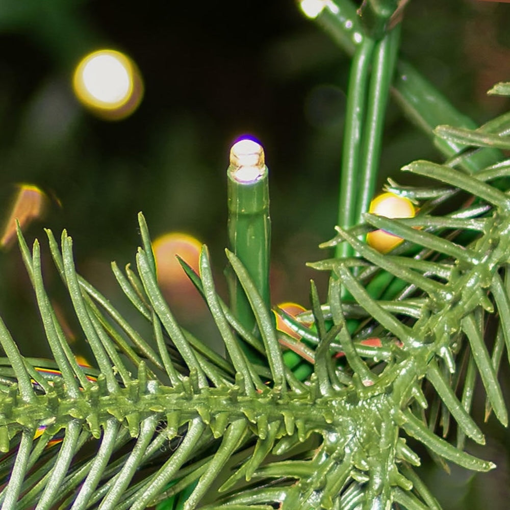 Color Changing lights