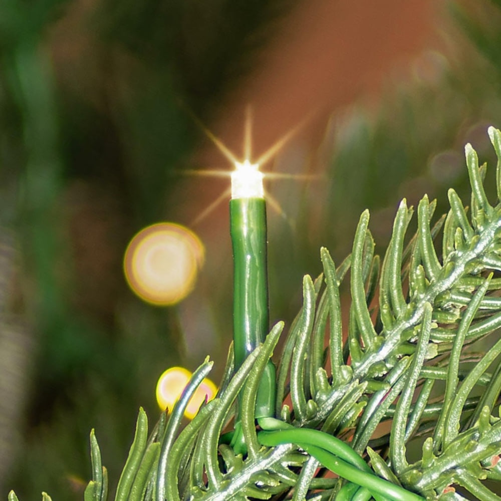 3mm Spider/Wide Angle Warm White