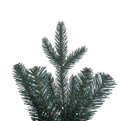 Colorado Blue Fir Artificial Christmas Wreaths