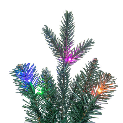 Colorado Blue Fir Artificial Christmas Wreaths