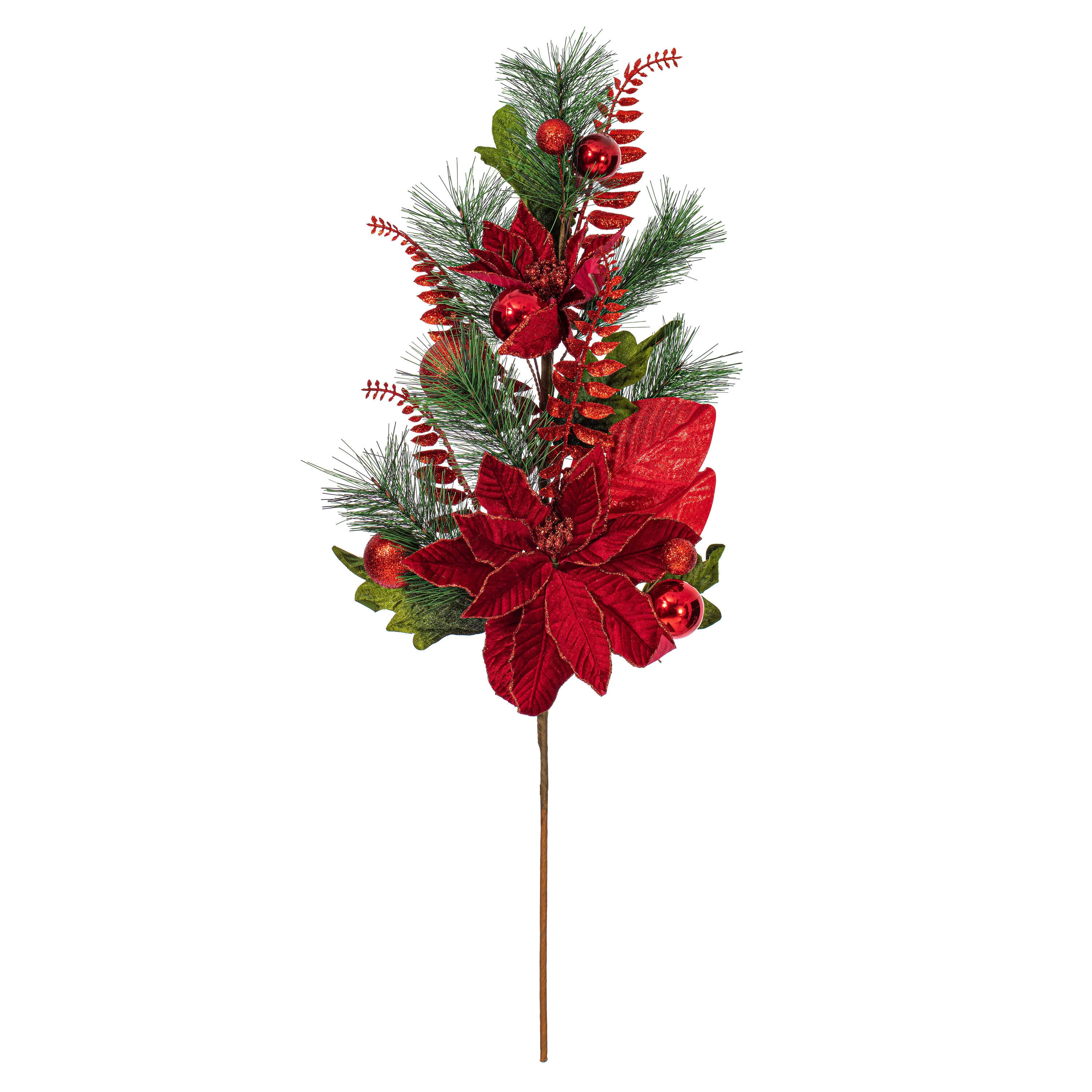 Red poinsettia flower with green leaves and red berries on a white background