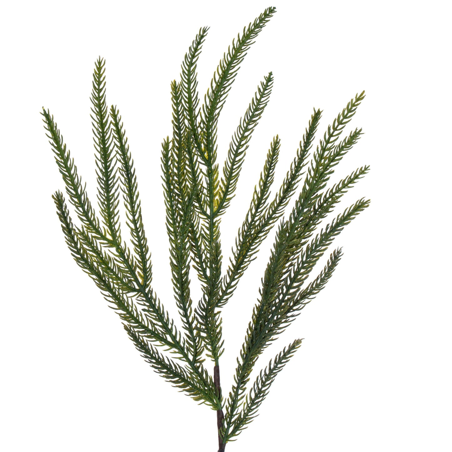 Norfolk Pine Realistic Touch Artificial Christmas Garland