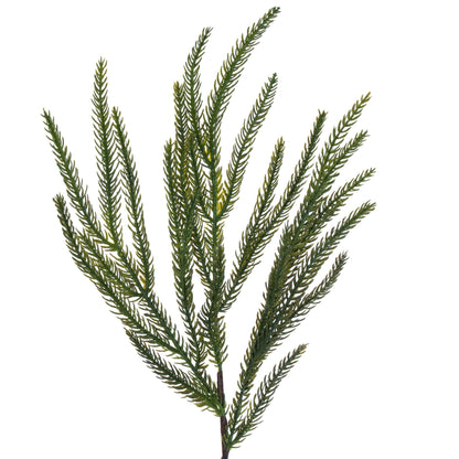 Norfolk Pine Realistic Touch Artificial Christmas Garland