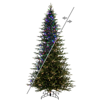 Decorated Christmas tree with lights on a white background