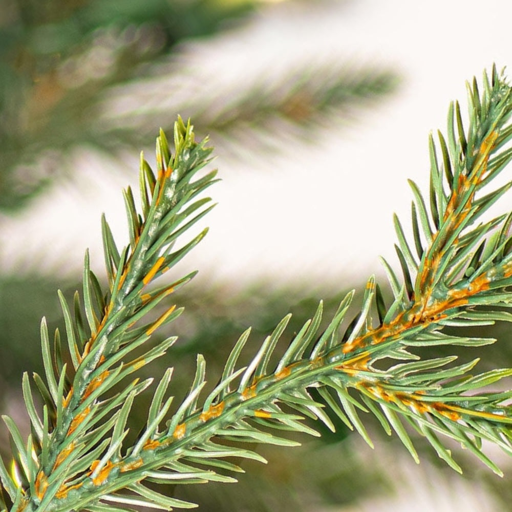 Itasca Fraser Fir Artificial Christmas Trees