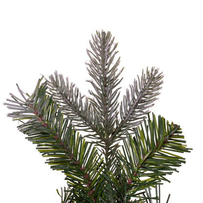 Frosted Douglas Fir Artificial Christmas Wreaths