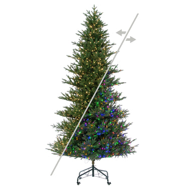 #lights_led-color-changing-and-warm-white-wide-angle-lights