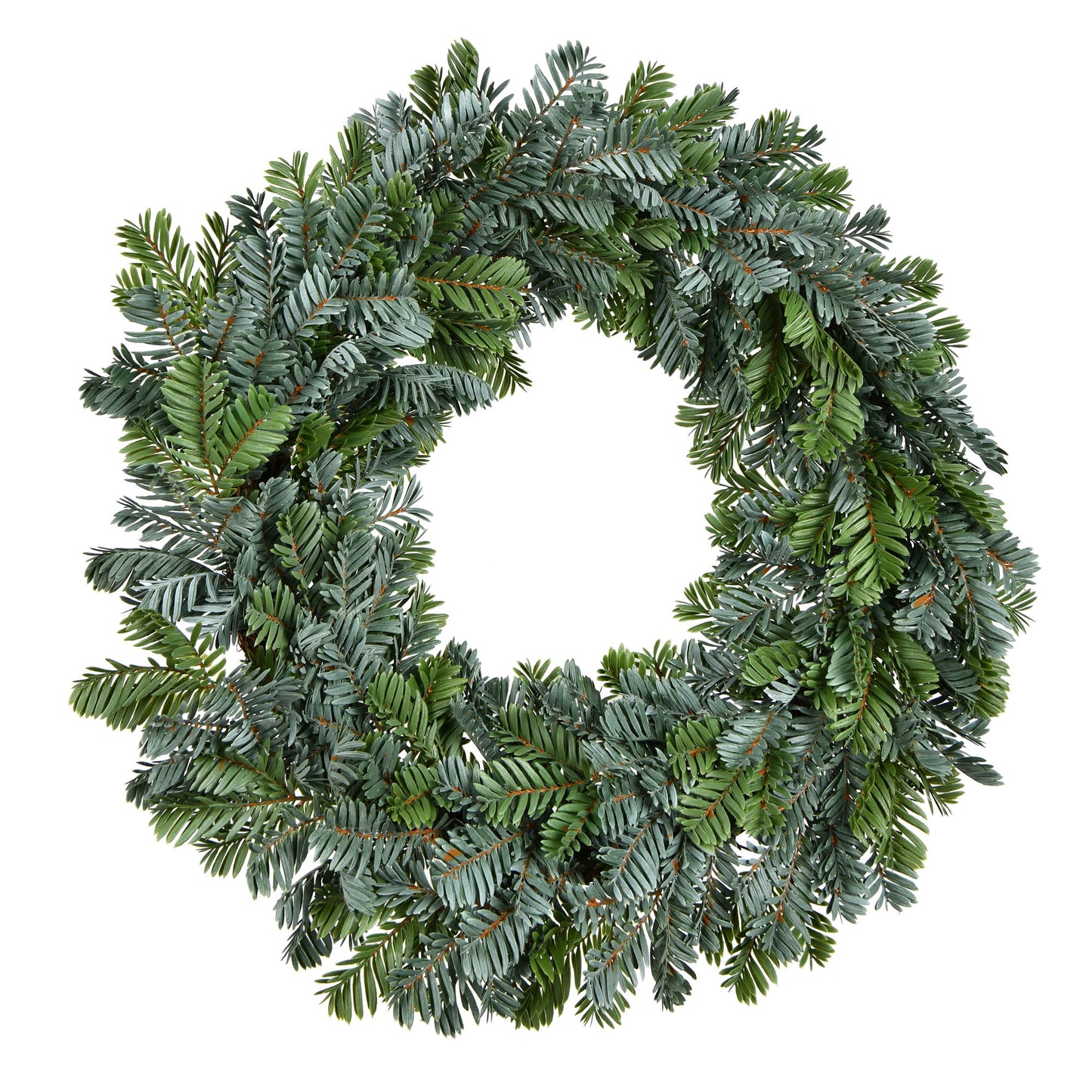 Vickerman 24" Green Medford Pine Artificial Christmas Wreath