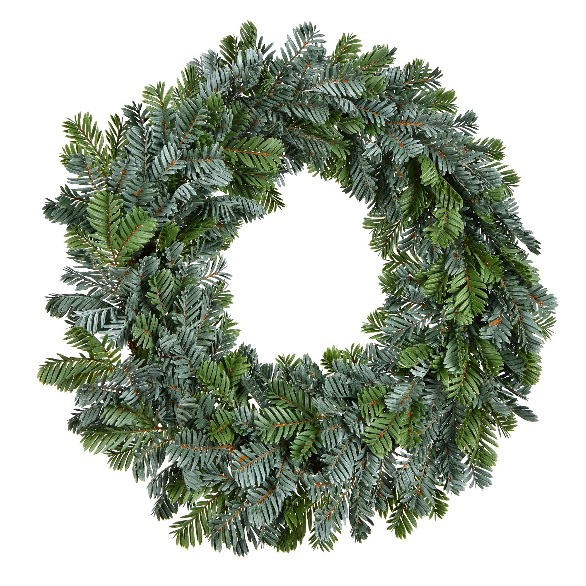 Vickerman 24" Green Medford Pine Artificial Christmas Wreath