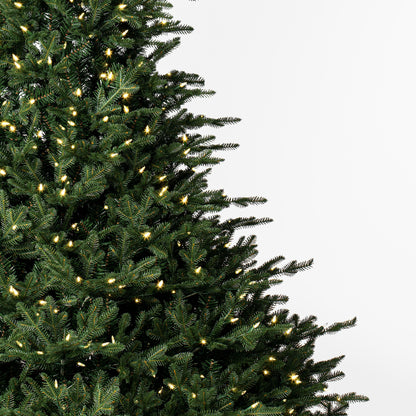 Bellevue Fraser Fir Artificial Christmas Trees