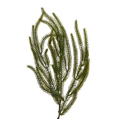 Norfolk Pine Realistic Touch Artificial Christmas Garland