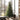 #lights_led-warm-white-mini-lights