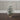 Old World Christmas 23" Frosted Balsam Tree with Burlap Base