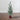 Old World Christmas 35" Fir Tree with Burlap Base