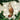 Old World Christmas Barn Owl Christmas Ornament