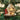 Old World Christmas Beagle Christmas Ornament