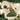 Old World Christmas Brittany Spaniel Christmas Ornament
