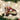 Old World Christmas Ferret Christmas Ornament