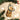Old World Christmas Cone Of Shame Dog Christmas Ornament