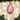 Old World Christmas Cotton Candy Christmas Ornament