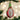 Old World Christmas Dragon Fruit Christmas Ornament