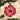 Old World Christmas Gerbera Daisy Christmas Ornament