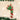 Old World Christmas Glistening Candy Cane Christmas Ornament